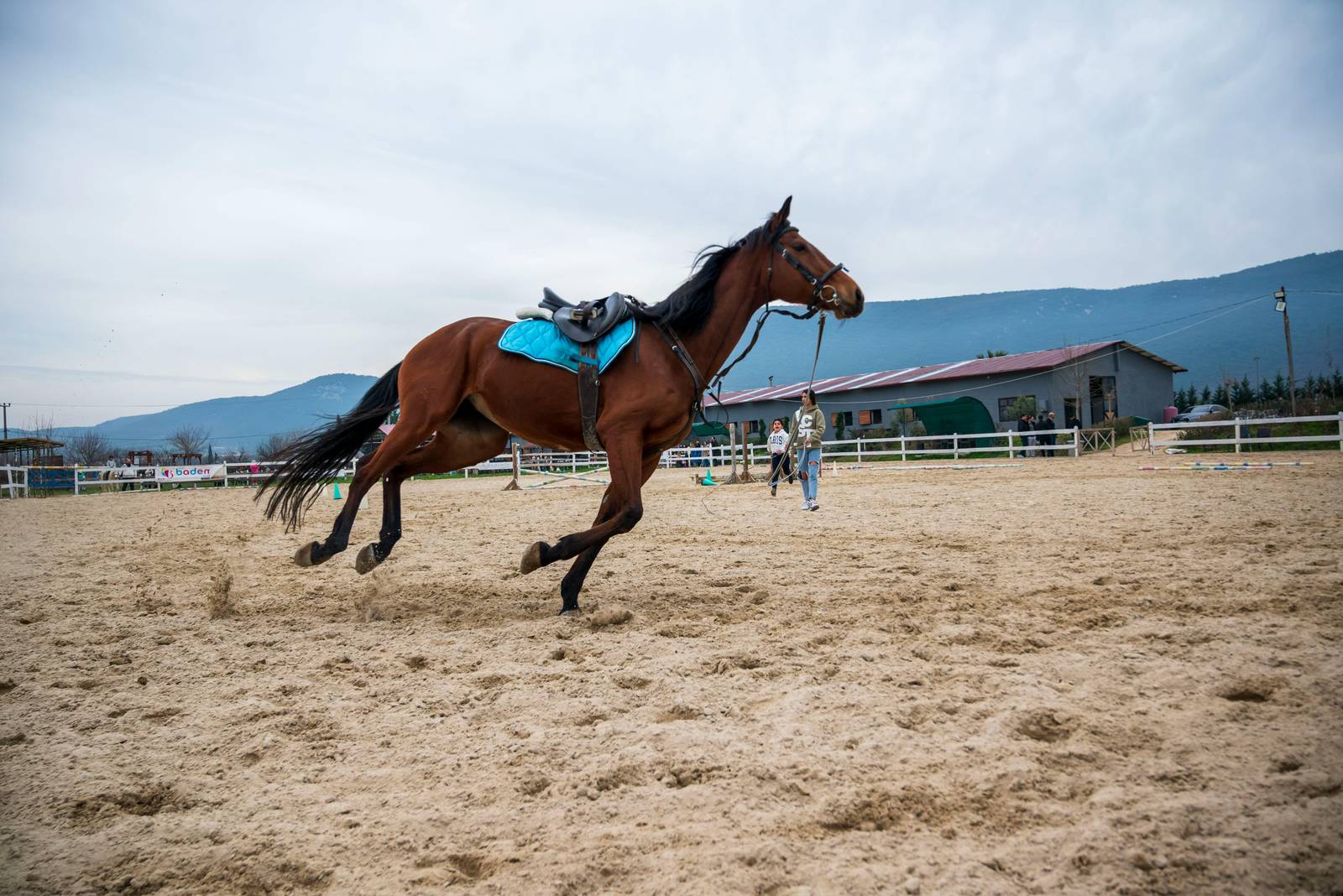 Best Hotels for Equestrian & Ranch Events