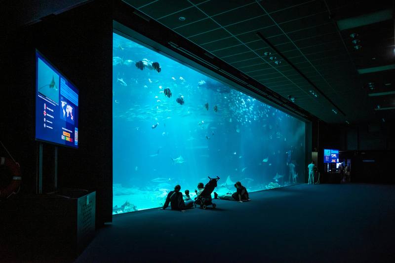 Best Hotels for Zoo & Aquarium Visits