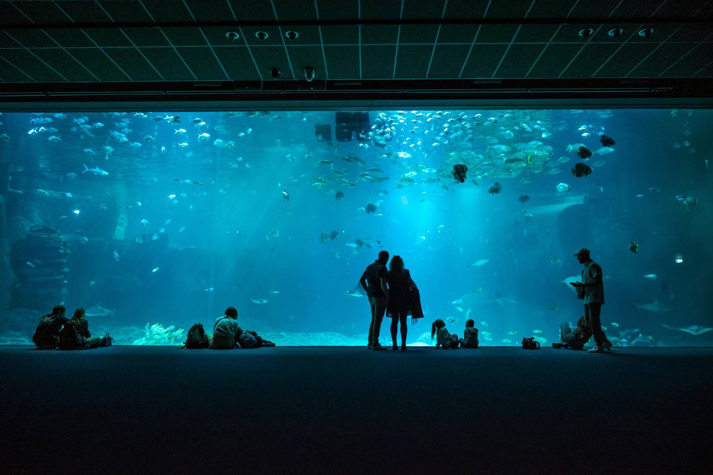 Hotels near Toledo Zoo Aquarium