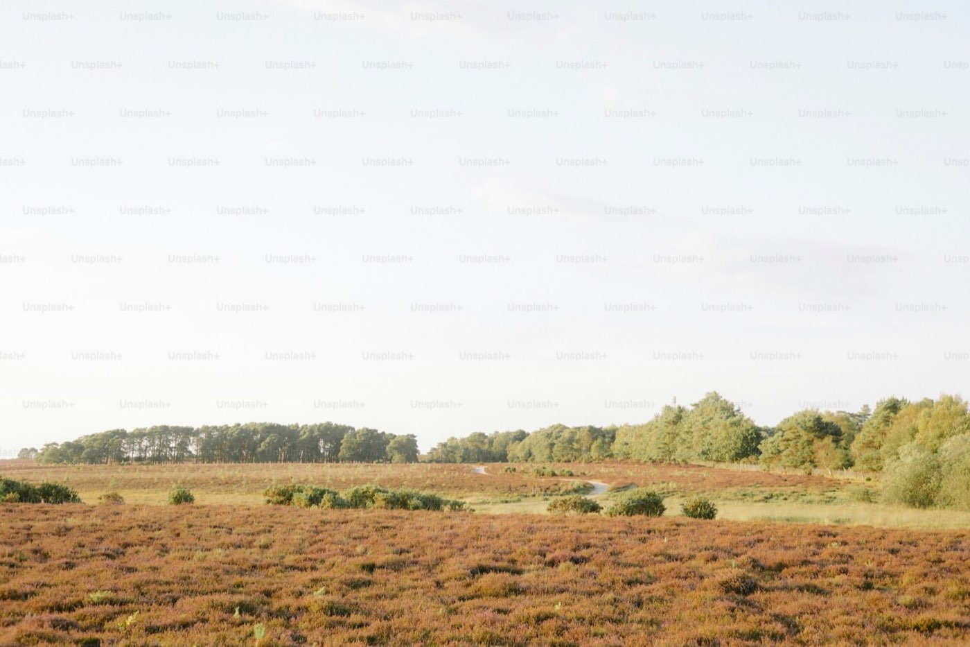 Hotels near Terrell Mill Park