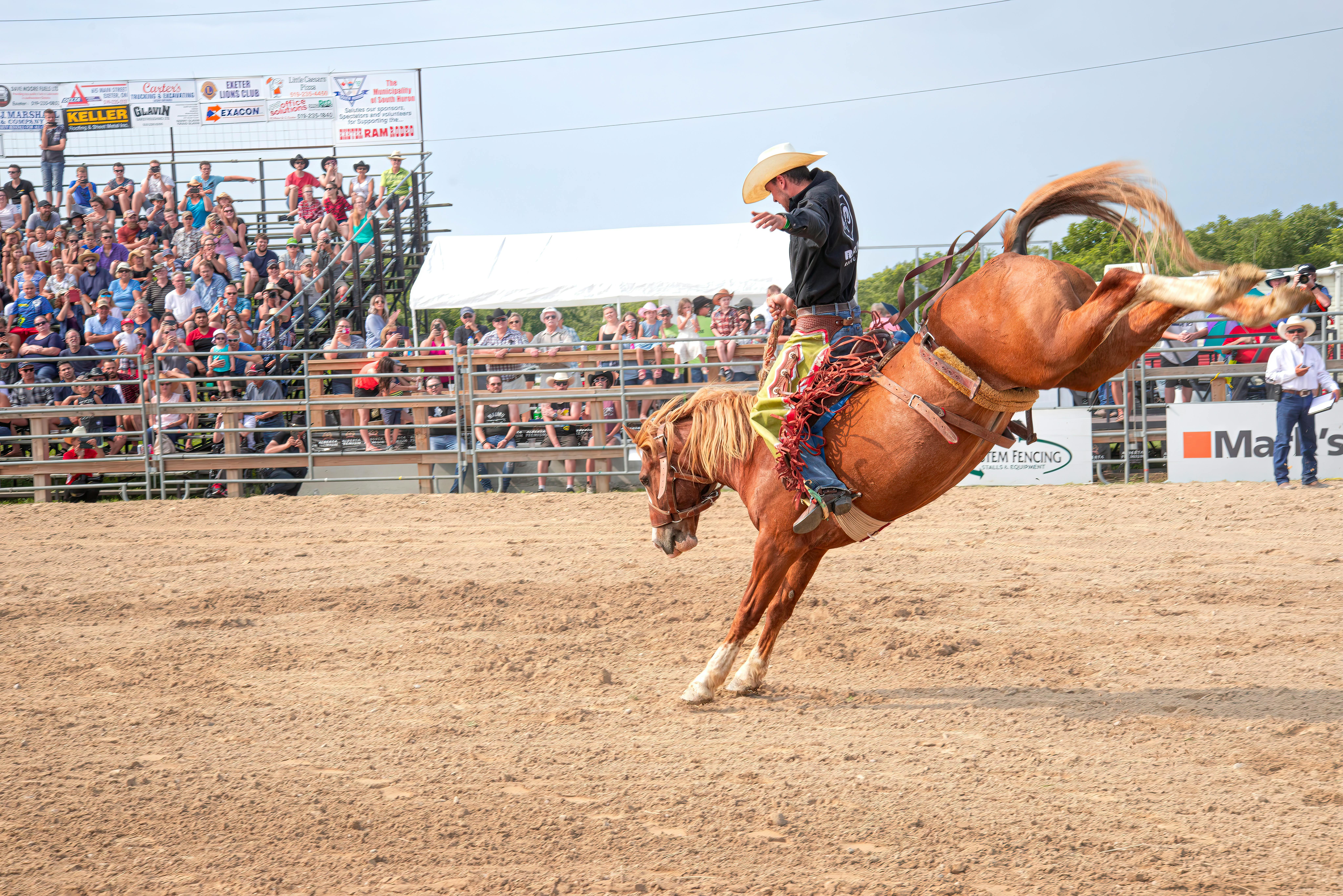 Hotels near Haney Arena Rodeo