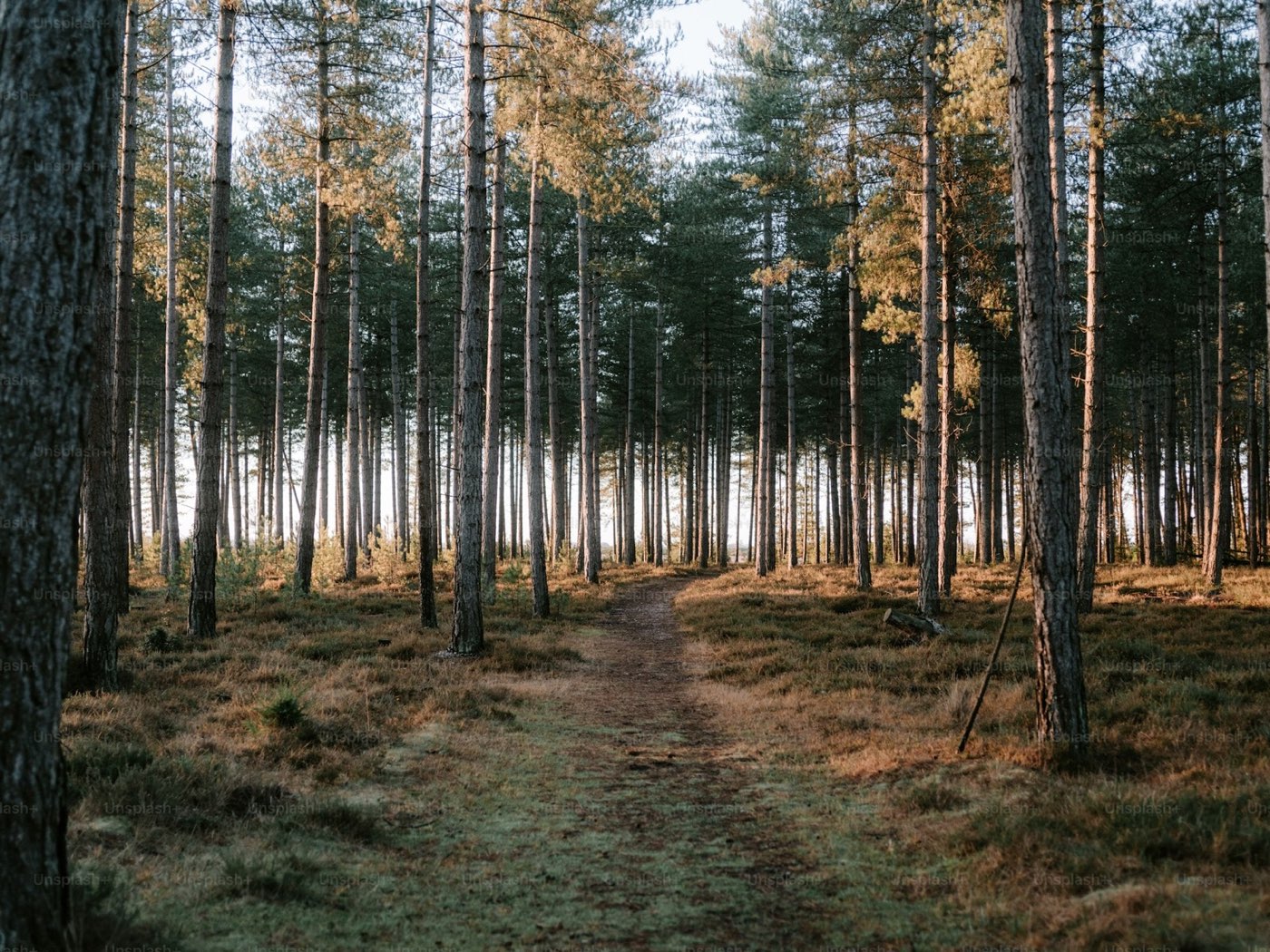 Hotels near Copper Trails