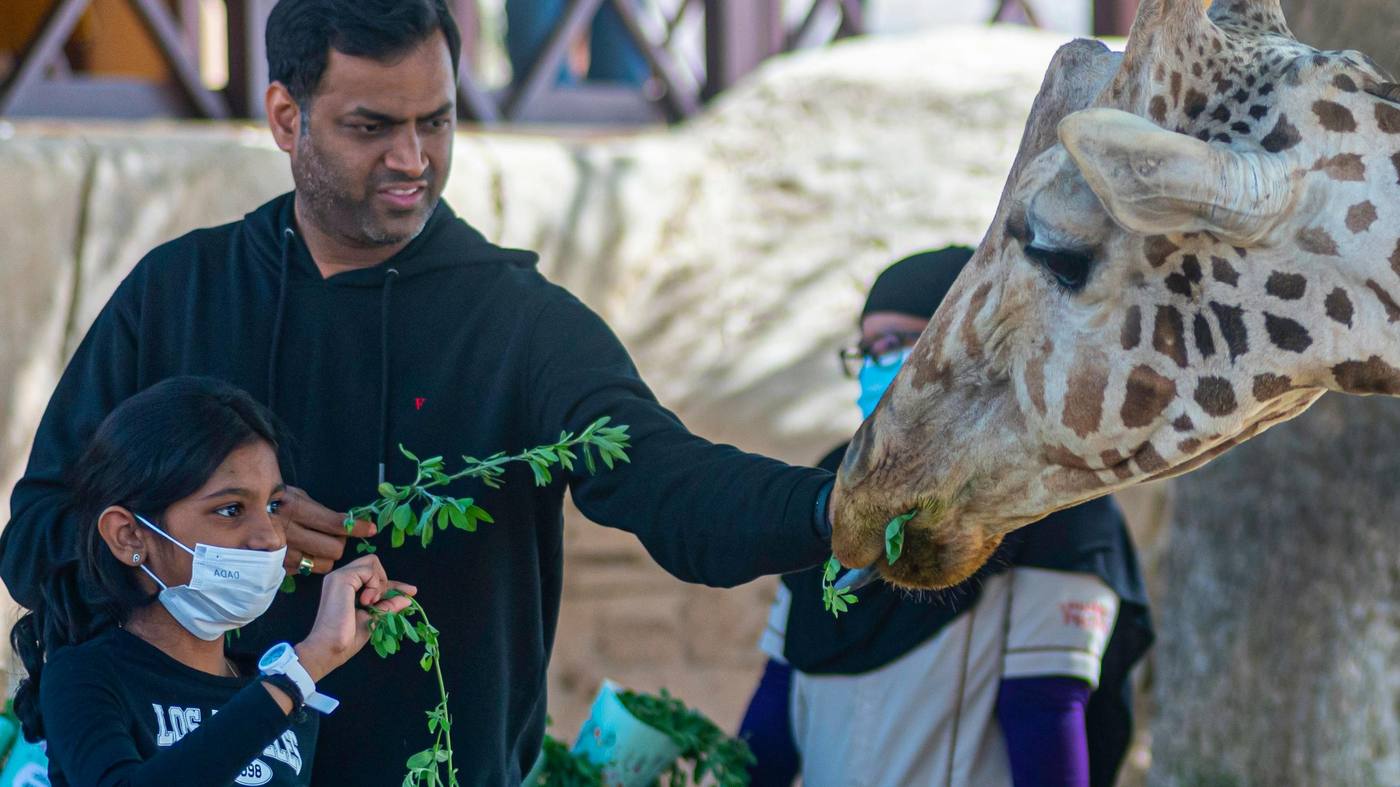 Hotels near Little Rock Zoo