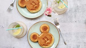 Disney World on a Budget