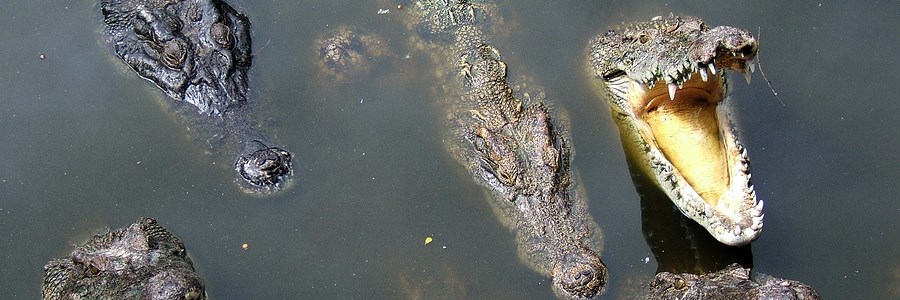 Myrtle Beach Sports Center - Things To Do With Your Team Myrtle Beach Sports Center - Things To Do With Your Team