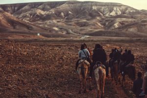Albuquerque - Things to do with your Team - Travel - Hotels4Teams