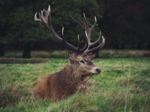 Aurora - Things to do with your Team - Travel - Hotels4Teams