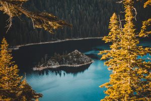 Eugene - Things to do with your Team - Travel - Hotels4Teams