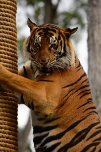 Evansville - Things to do with your Team - Travel - Hotels4Teams