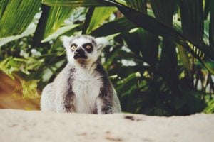 Gaithersburg - Things to do with your Team - Travel - Hotels4Teams