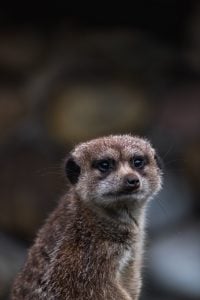 Nashville - Things to do with your Team - Travel - Hotels4Teams