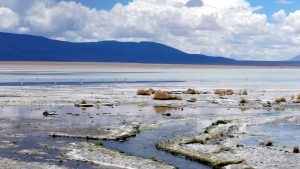Salt Lake City - Things to do with your Team - Travel - Hotels4Teams