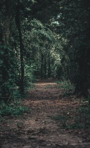 Williamsburg - Things to do with your Team - Travel - Hotels4Teams