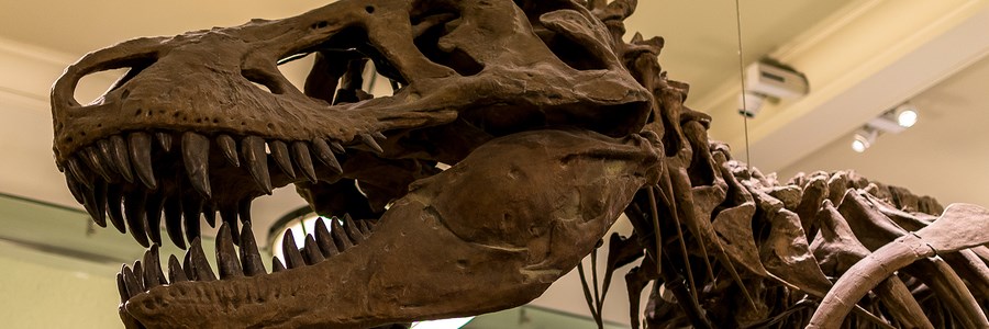 LakePoint Sports - Things To Do With Your Team