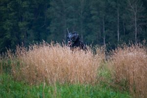 Evergreen Sportsplex  - Travel - Hotels4Teams