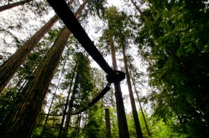 Carmel - Things to do with your Team - Travel - Hotels4Teams