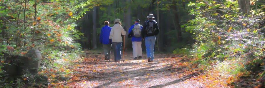 Candyland Park - Things To Do With Your Team