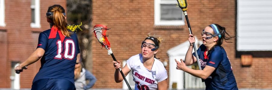 Davis Park - Things To Do With Your Team Davis Park - Things To Do With Your Team