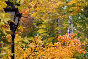 Raleigh Convention Center