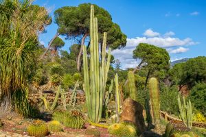 National Orange Show Event Center