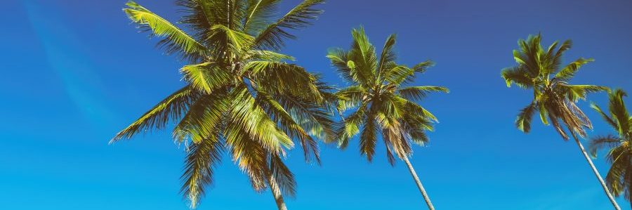 Anaheim Convention Center - Photo Ops Anaheim Convention Center - Photo Ops