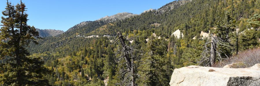 San Bernardino Soccer Complex - Photo Ops San Bernardino Soccer Complex - Photo Ops