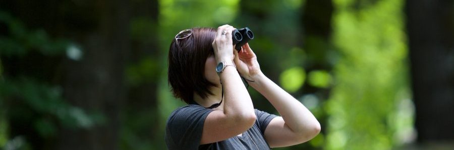 Hoover Metropolitan Stadium - Free Activities