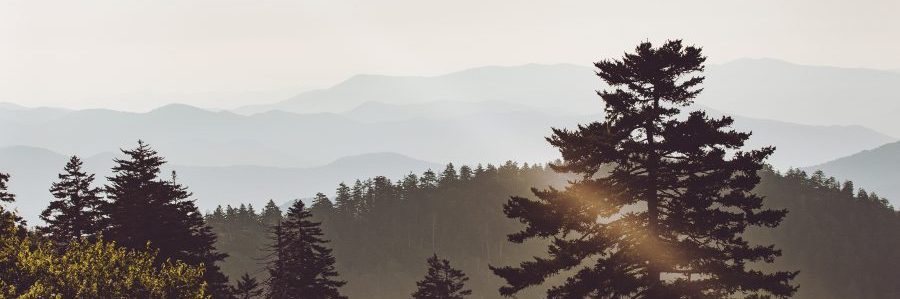 Rocky Top Sports World - Photo Ops Rocky Top Sports World - Photo Ops