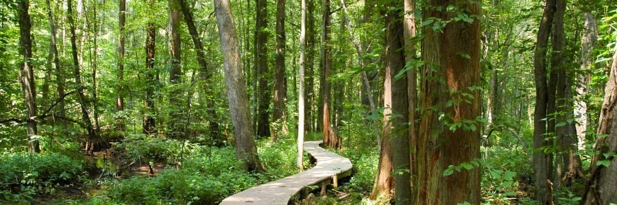 Maryland International Raceway - Photo Ops