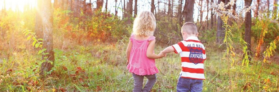 IceWorks Skating Complex