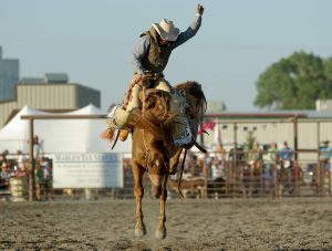 The Sussex County Fairgrounds