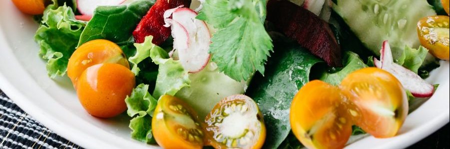 Palmer Events Center - Vegetarian Guide Palmer Events Center - Vegetarian Guide