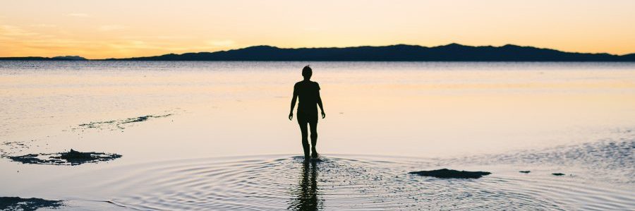 Davis Conference Center - Area Bucket List Davis Conference Center - Area Bucket List